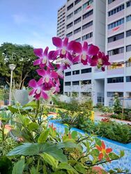 Blk 522 Jurong West Street 52 (Jurong West), HDB 5 Rooms #628323491
